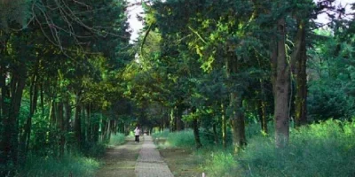 validebag_korusu-1.webp