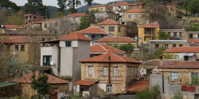 zeytinli.webp