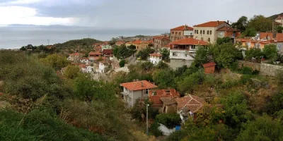 tahtakuslar.webp