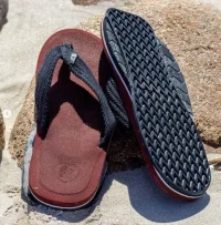 matt-benedetto-8.webp