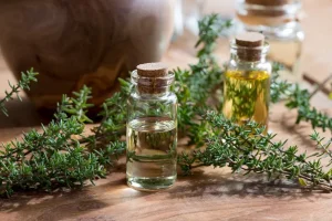 shutterstock_717623932.webp