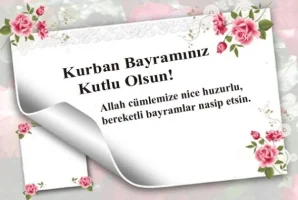 3002679.webp