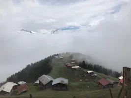 pokut2f289efcb799d697a.webp
