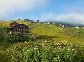 pokut308c99197dafda381.webp