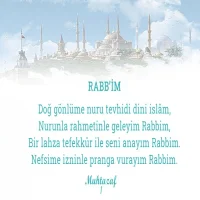 rabbim-1_31af50ee38a2b1e4.webp