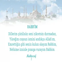 rabbim-2_b85f568759c6d9fa.webp