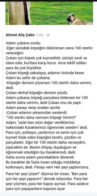 Adam Çobana Sordu.