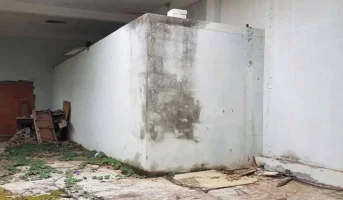 5-before3c00686e3c1bb557.webp
