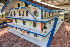 3 Katlı 64 Odalı Kedi Apartmanı - Pati Şehri