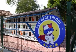 kedi-apartmani-380c3ecfb89dfda80.webp