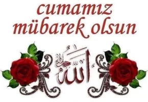 131605246008.webp