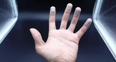 14072021173855607667017093e667a59aa60.webp