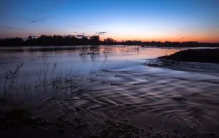 5a55d505d3806c0b44861281.webp
