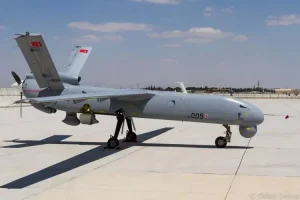 anka-ae6b71683fbcf506c.webp