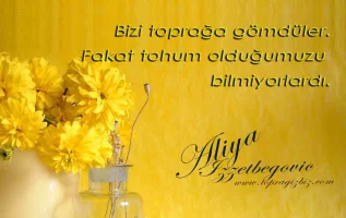 aliya-izzetbegovic_tb_64f705d0626cbf2c.webp