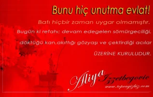 aliya-izzetbegovic_tb_c00272fae3aad05d.webp