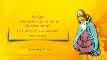 mevlana-hirs-sozleri_tb_ad59a4d8d4a5d5e8.webp