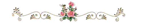 Linien20119.gif