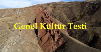 Genel Kültür Testi-4