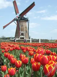 yeldegirme.webp