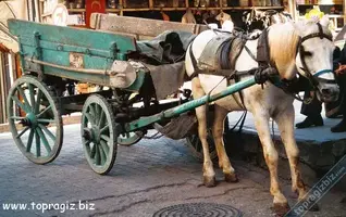 atarabasi.webp