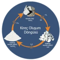 Kireç Oluşum Döngüsü