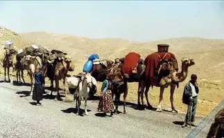 Göçebe yörük kervanı Konya