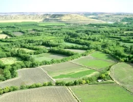 Diyarbakır Surları ve Hevsel Bahçeleri UNESCO Dünya Kültür Mirası Listesine Girdi