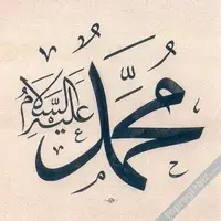 sensevdigi.webp