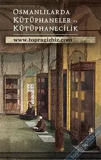 tbgdg.webp