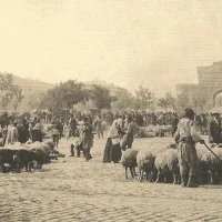 Ağnam Resmi - Osmanlı'da Küçükbaş Hayvanlardan Alınan Vergi