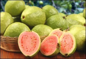 Guava  Meyvesi