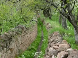 Gesi Bağları