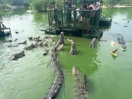 Her Başarılı Erkeğin Arkasında Bir Kadın Vardır !!!