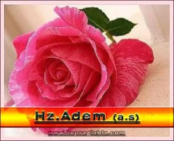 Hz.Adem(as)