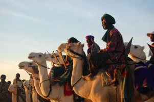 Mali Festivalleri