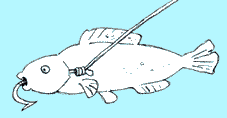 21.gif