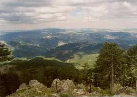 522.webp
