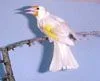 204.webp