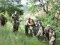 70.webp