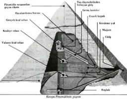 11.webp