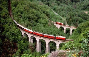256995.webp