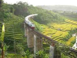 256988.webp