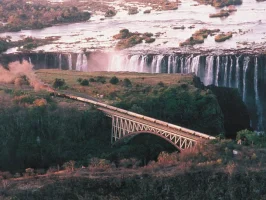 257009.webp