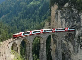 256993.webp