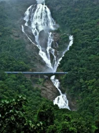 256984.webp