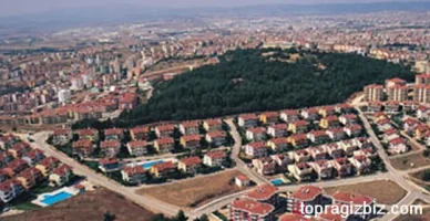 bursa.webp