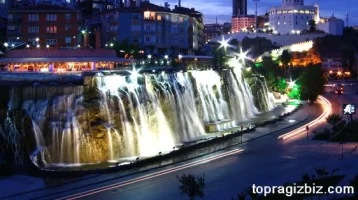 ankarafof.webp