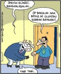 bayram.webp