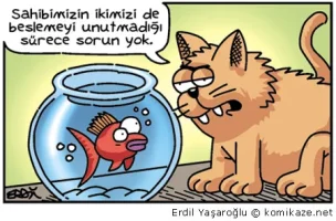 ked.webp